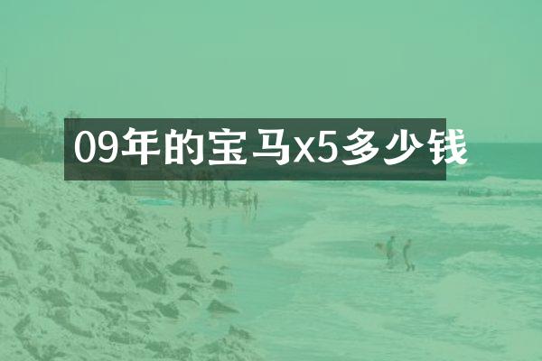 09年的宝马x5多少钱