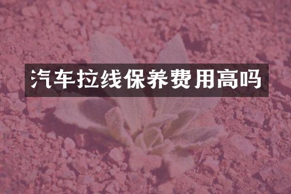 汽车拉线保养费用高吗