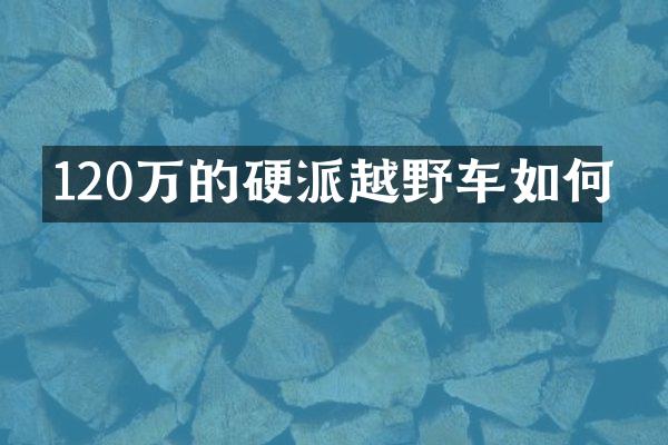 120万的硬派越野车如何
