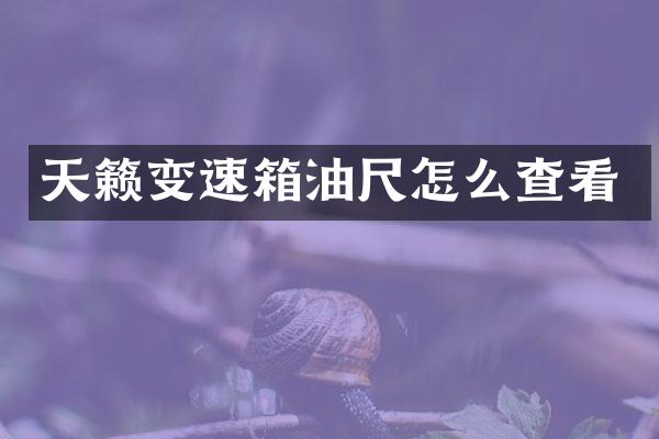 天籁变速箱油尺怎么查看