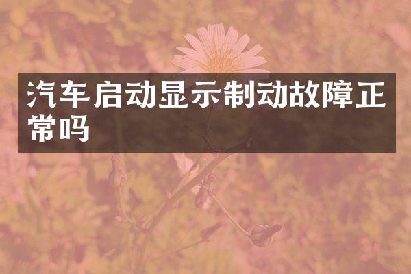 汽车启动显示制动故障正常吗