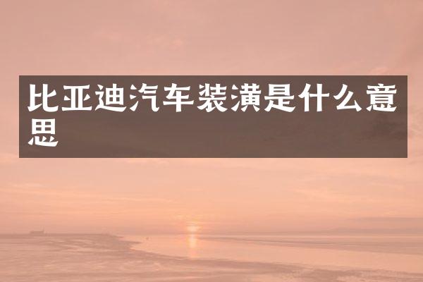 比亚迪汽车装潢是什么意思