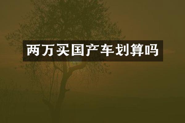 两万买国产车划算吗