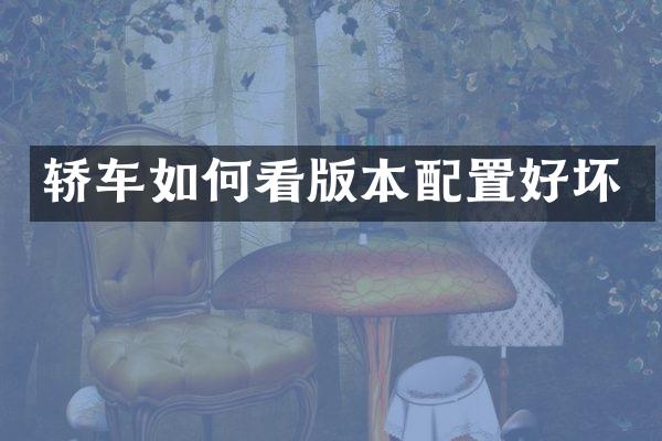 轿车如何看版本配置好坏