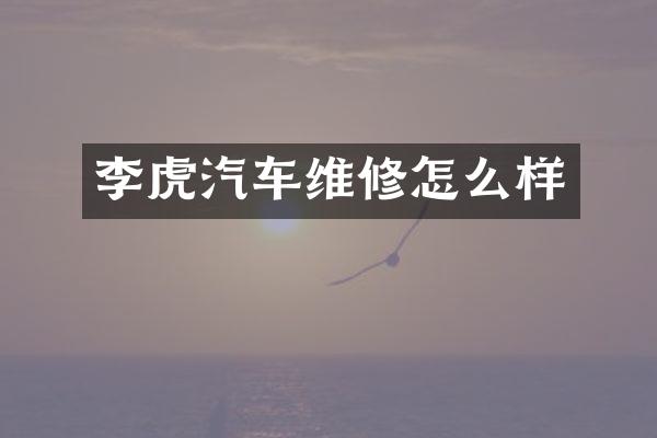 李虎汽车维修怎么样