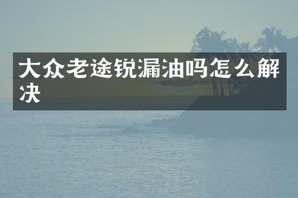 大众老途锐漏油吗怎么解决