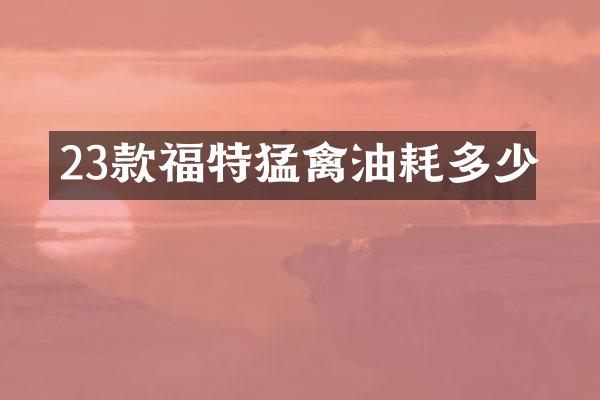 23款福特猛禽油耗多少
