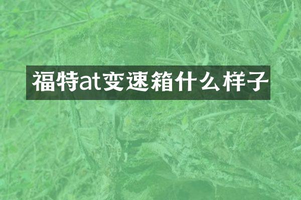 福特at变速箱什么样子