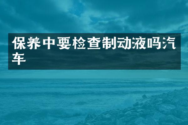 保养中要检查制动液吗汽车