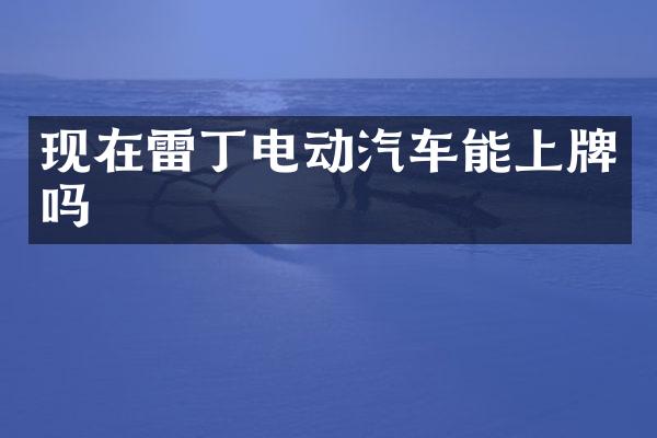 现在雷丁电动汽车能上牌吗