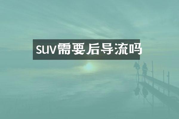 suv需要后导流吗
