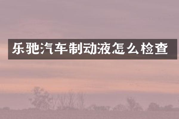 乐驰汽车制动液怎么检查