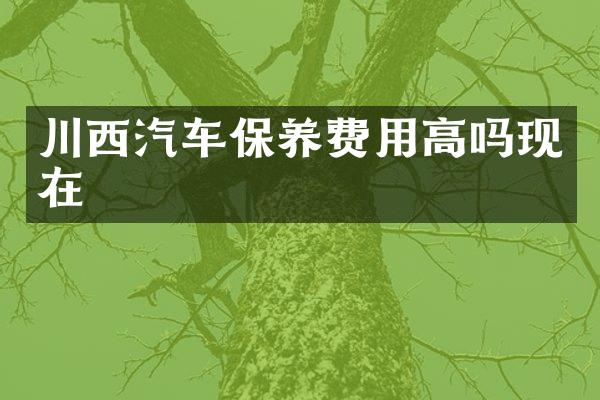 川西汽车保养费用高吗现在