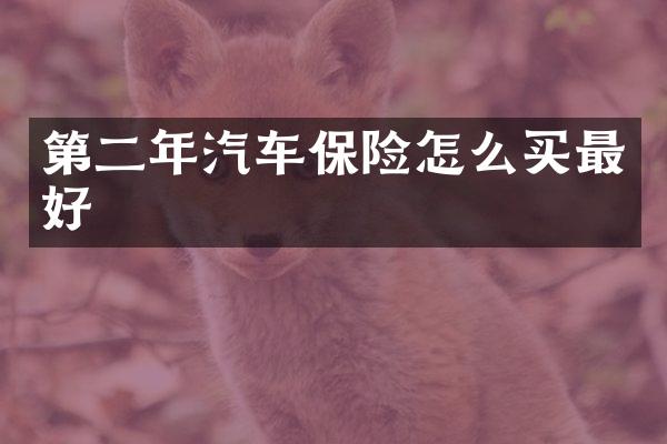 第二年汽车保险怎么买最好