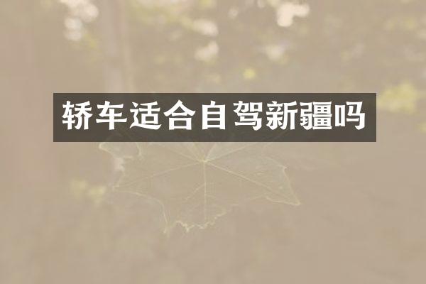 轿车适合自驾新疆吗