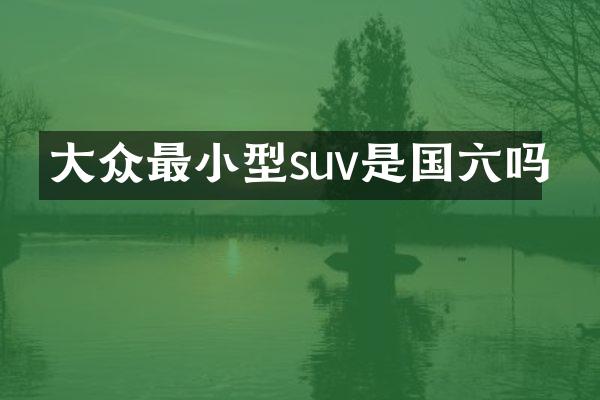 大众最小型suv是国六吗