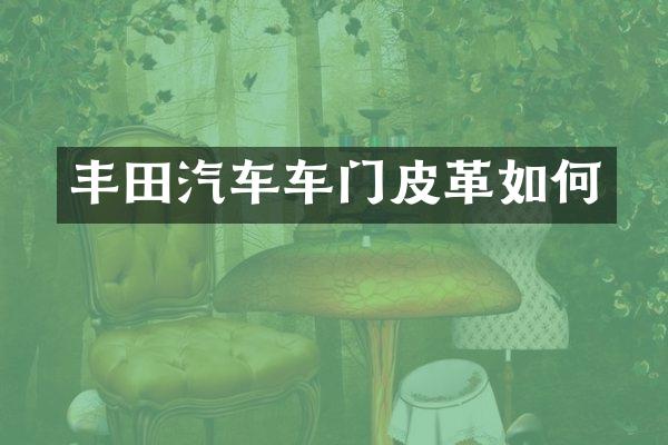 丰田汽车车门皮革如何