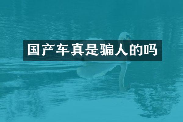 国产车真是骗人的吗