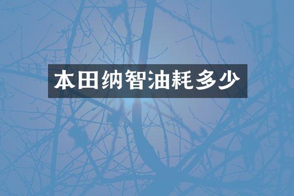 本田纳智油耗多少