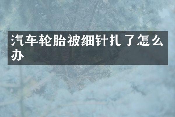 汽车轮胎被细针扎了怎么办
