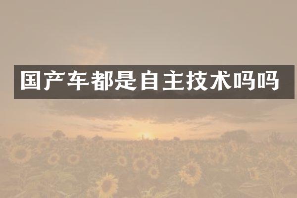 国产车都是自主技术吗吗