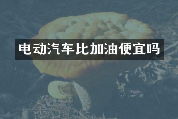 电动汽车比加油便宜吗
