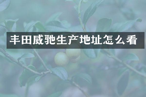 丰田威驰生产地址怎么看