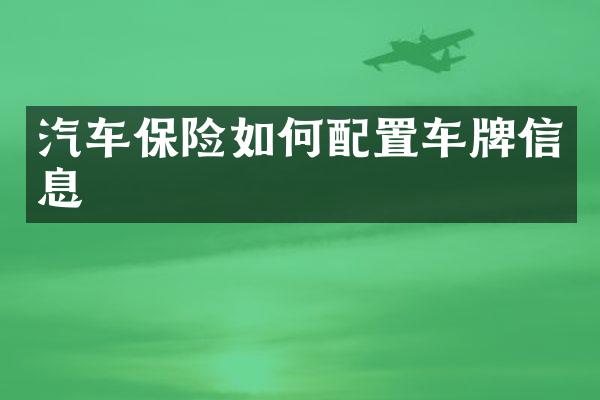 汽车保险如何配置车牌信息