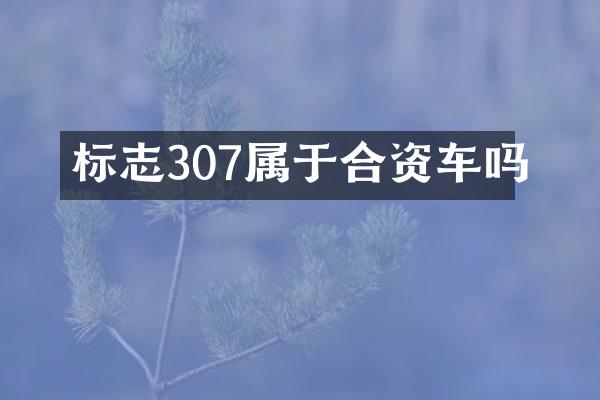 标志307属于合资车吗