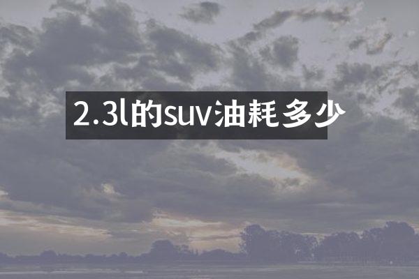 2.3l的suv油耗多少