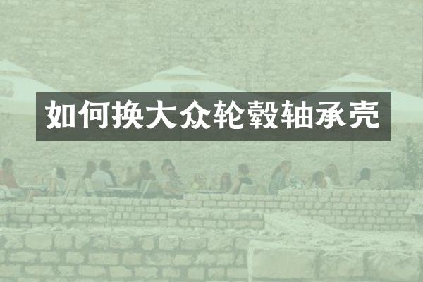 如何换大众轮毂轴承壳