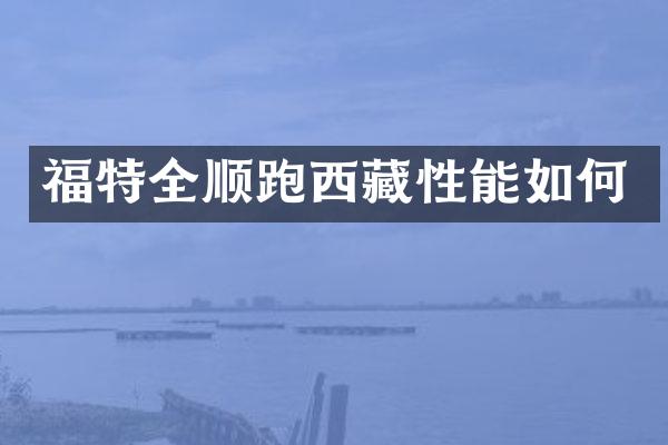 福特全顺跑西藏性能如何