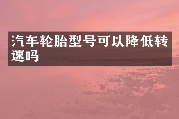 汽车轮胎型号可以降低转速吗