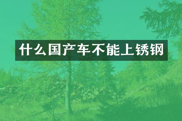 什么国产车不能上锈钢