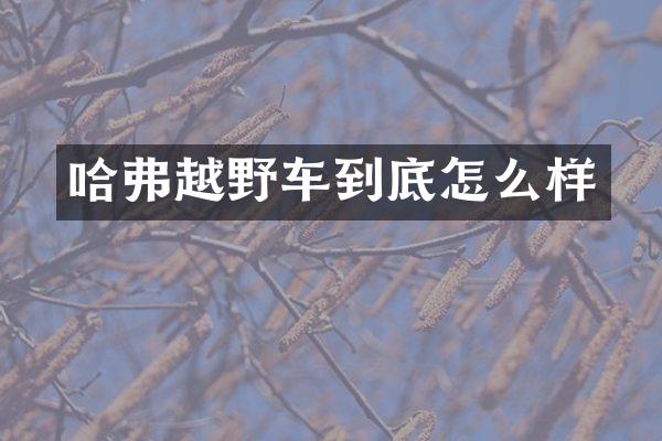 哈弗越野车到底怎么样