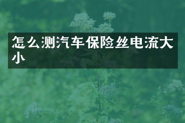 怎么测汽车保险丝电流大小