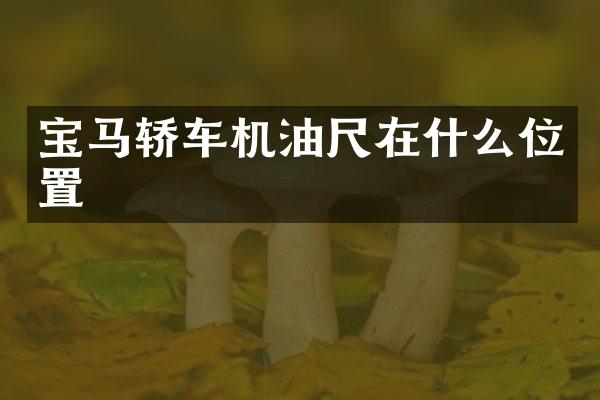 宝马轿车机油尺在什么位置