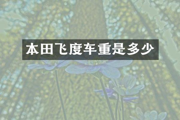 本田飞度车重是多少
