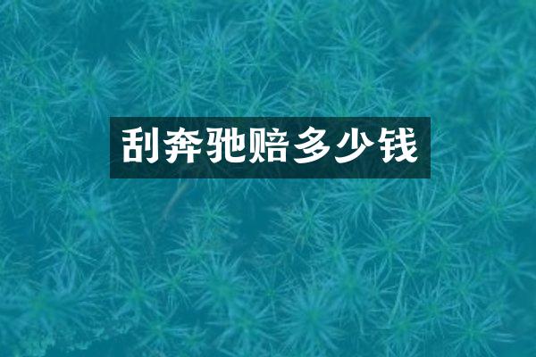 刮奔驰赔多少钱