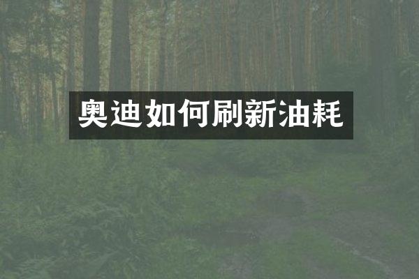奥迪如何刷新油耗