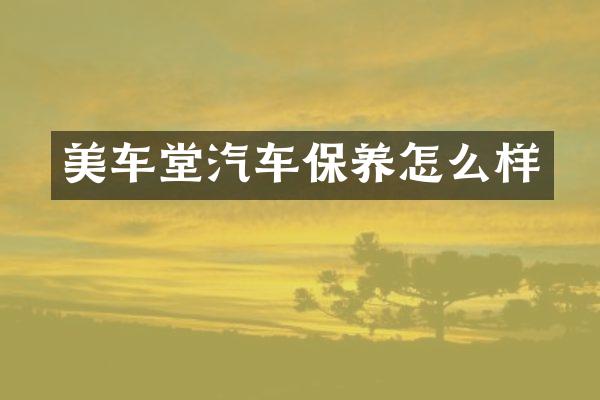 美车堂汽车保养怎么样