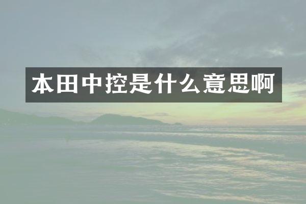 本田中控是什么意思啊