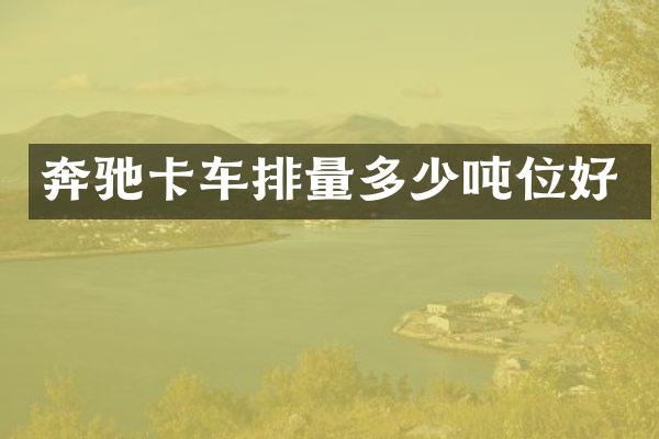 奔驰卡车排量多少吨位好