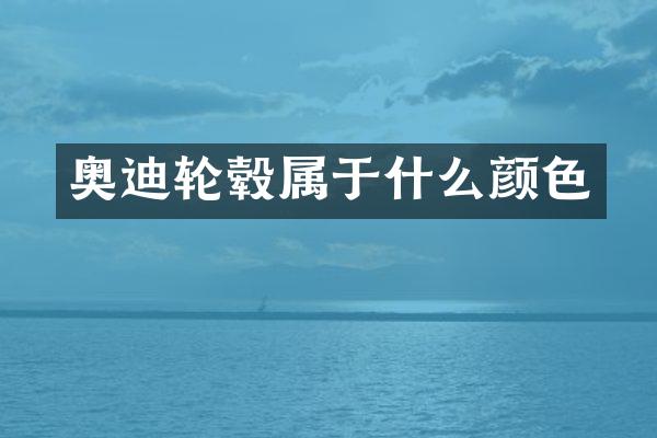 奥迪轮毂属于什么颜色