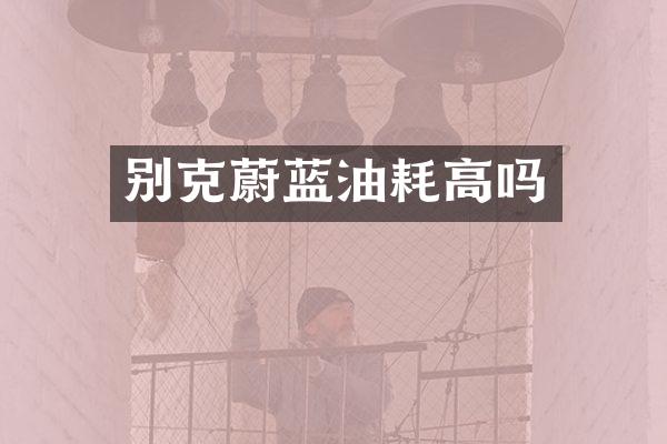 别克蔚蓝油耗高吗