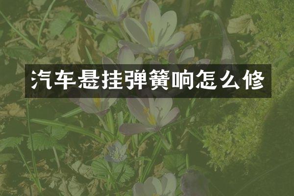 汽车悬挂弹簧响怎么修
