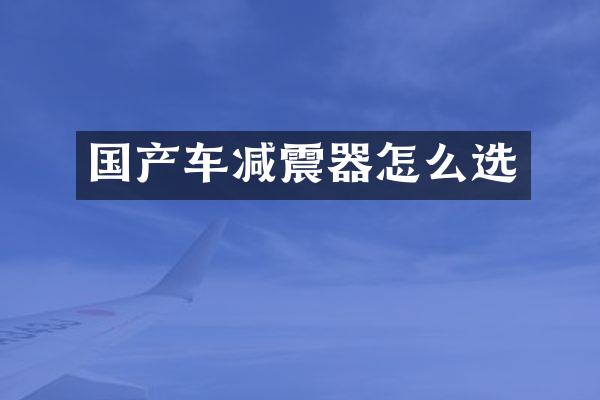 国产车减震器怎么选