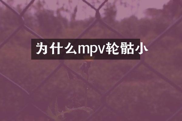 为什么mpv轮骷小