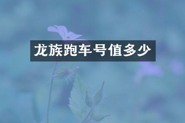 龙族跑车号值多少