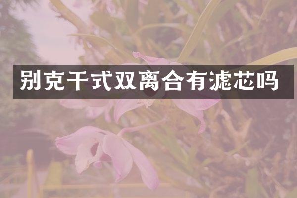 别克干式双离合有滤芯吗